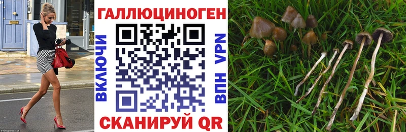 Псилоцибиновые грибы мицелий дарнет шоп гидра ссылка Няндома